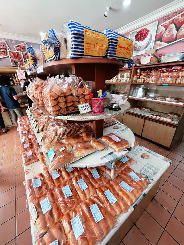  “Blueberry Cake House Bau: Home of Beloved Traditional Bakes”