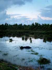 Hoi An 2 Days Travel Guide