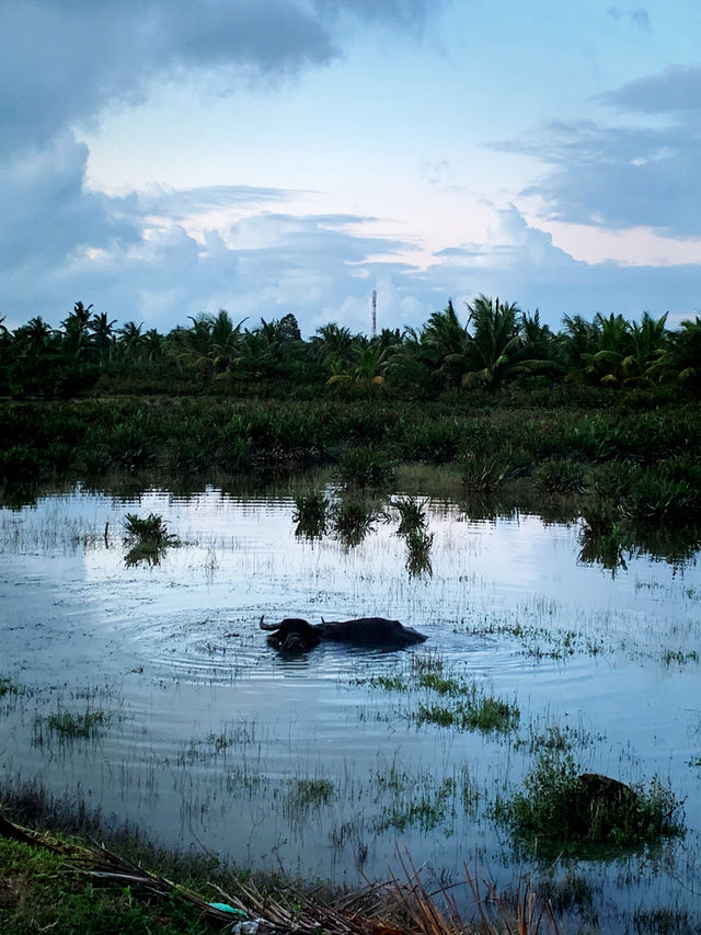 Hoi An 2 Days Travel Guide Hoi An 2 Days Travel Guide