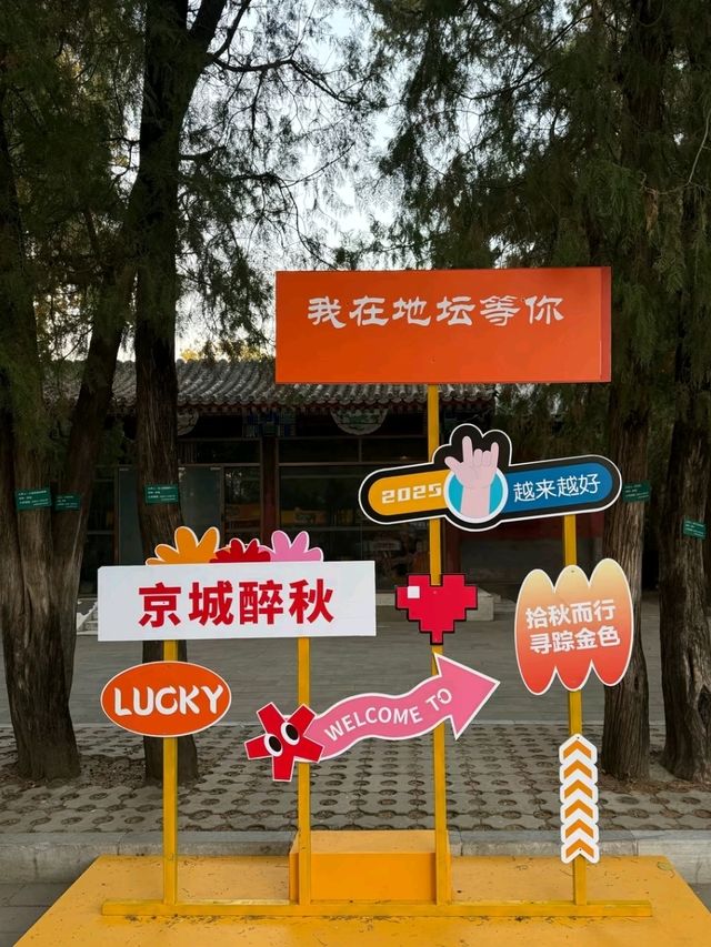 Under the Ginkgos of Di Tan