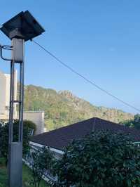 Mountain Market Vibes🌄