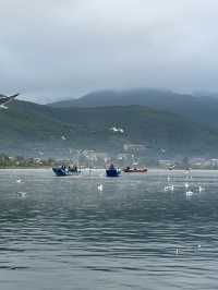 瀘沽湖晨霧|霧裡的湖光與水性楊花