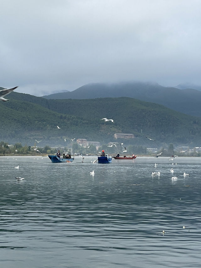 瀘沽湖晨霧|霧裡的湖光與水性楊花 瀘沽湖晨霧|霧裡的湖光與水性楊花