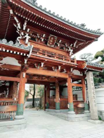 ⛩️✨大阪最古老能量點!生國魂神社求姻緣、斷惡緣靈到不行!✨⛩️