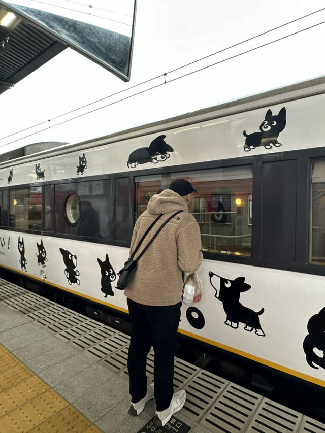 草千里變雪千里？！冬日阿蘇火山一日遊🌋