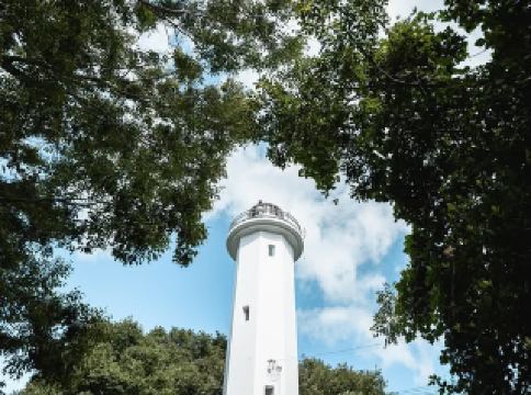 Lost in the Blue of Akaho: Where the Waves Whisper Secrets..