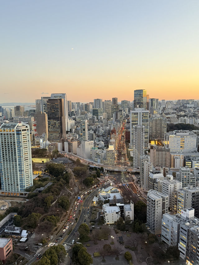 Tokyo Tower: Sunset Vibes & City Lights 🌆✨