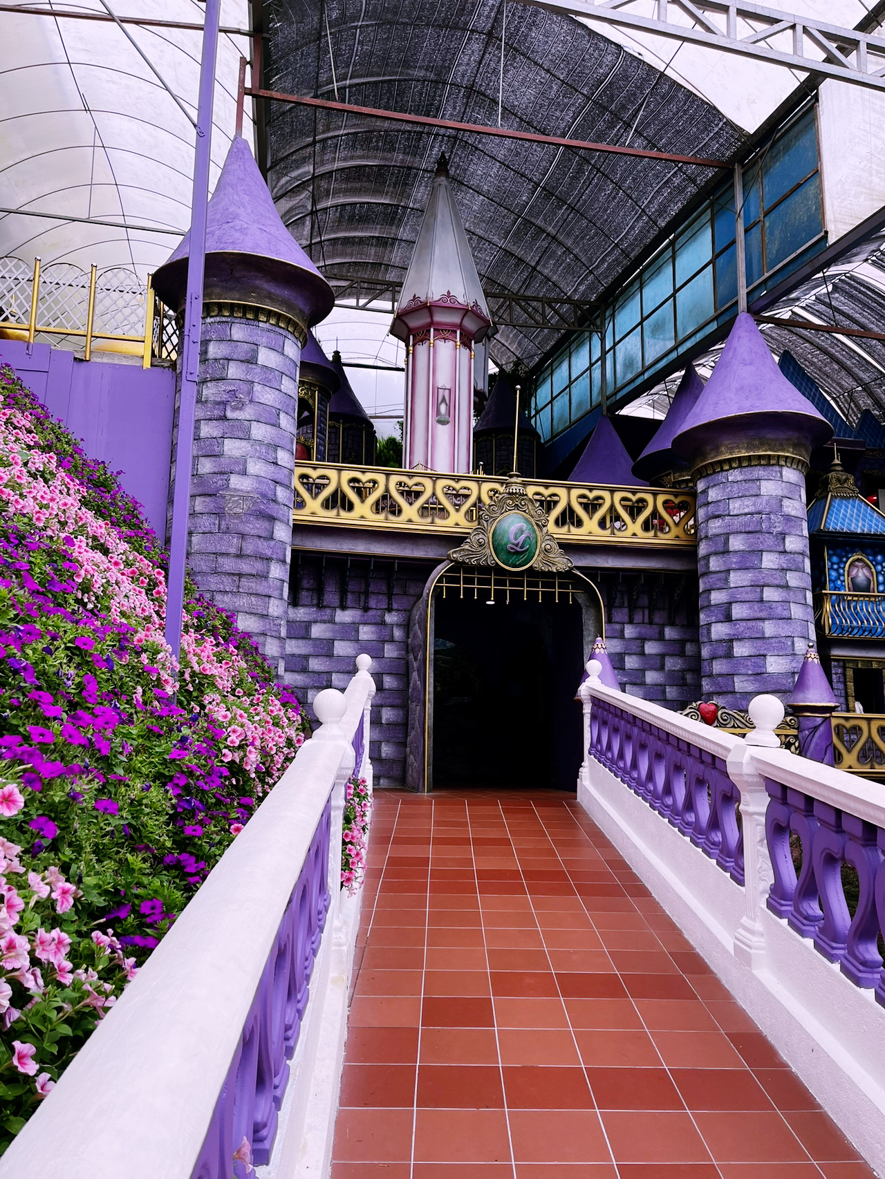 Hidden Floral Paradise at Lavender Garden Cameron Highlands
