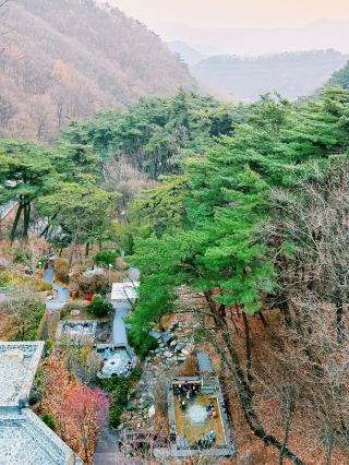 [Jecheon] From Forest Staycations to Heated Spas, 'Forest Resom' is Perfect Across All Four Seasons.
