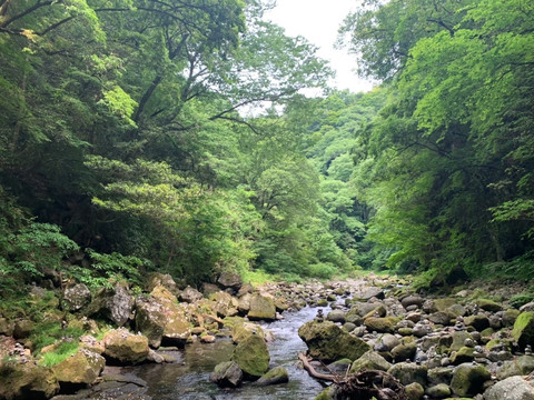 宮崎/高千穂】神秘のパワースポット、天岩戸神社 | Trip.com 高千穂