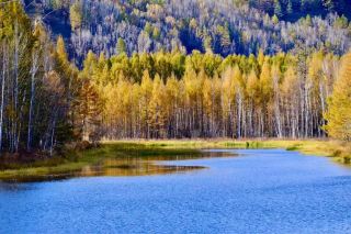 My Magical Trip to the Greater Khingan Mountains: Nature’s Best Escape