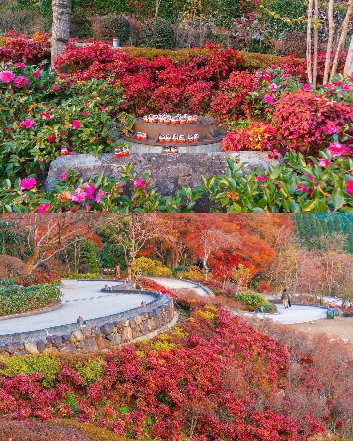 你會為了欣賞絢麗的秋葉而前往勝尾寺嗎？ 🍂