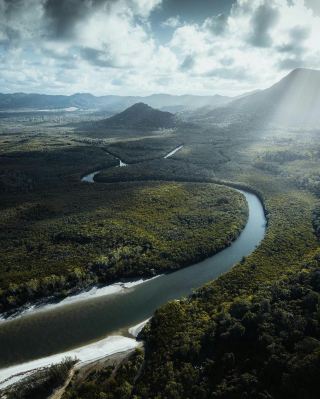 戴恩樹雨林 (Daintree)：4日行程推介。