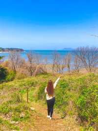 바다와 유채꽃을 한번에, 전북 부안 여행🌼
