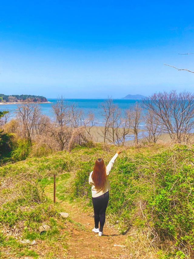바다와 유채꽃을 한번에, 전북 부안 여행🌼
