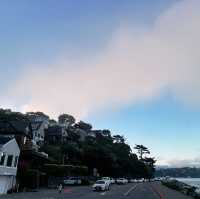 令人驚喜的sausalito!