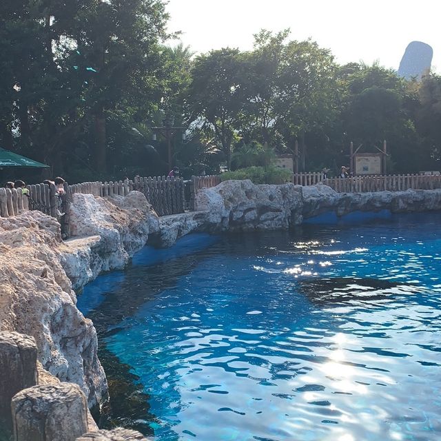  🐋 WHAT AN AMAZING AQUARIUM 🌊