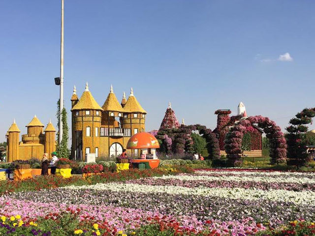Dubai Miracle Garden in Spring 