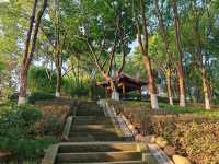 龍華公園