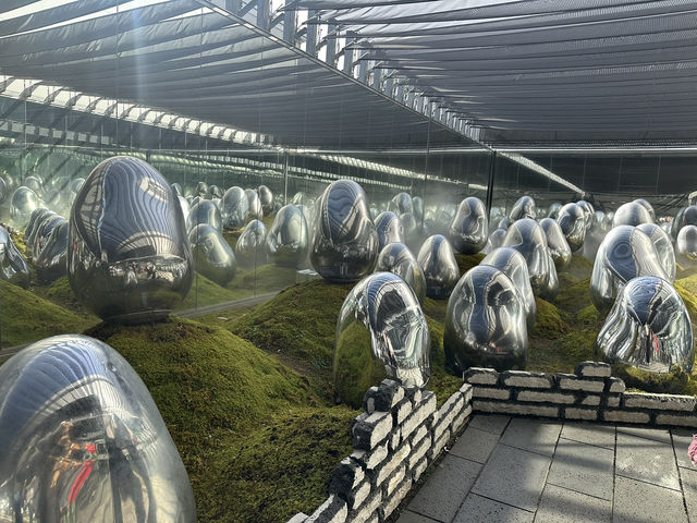 ✨東京【teamLab Planets】沉浸式夢幻藝術體驗｜必去！行入光影與水的世界🪷