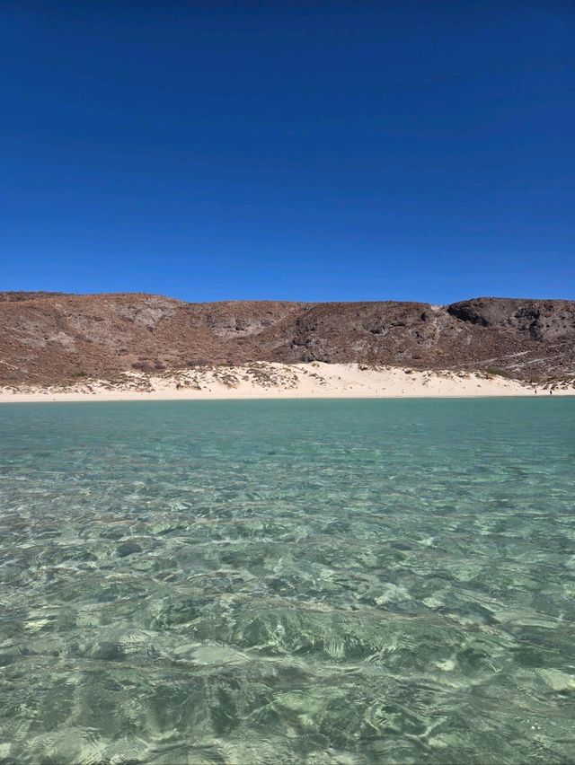 Rode in like a VIP, walked through the sea, met a mushroom. Balandra, you’re wild 🍄🚤💦
