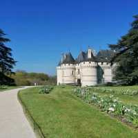 One day tour at Château de​ chaumont