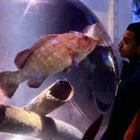 Family-friendly aquarium of Berlin 