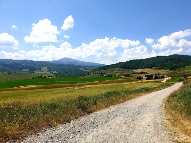 Rustic Charms of Tuscany's Vineyards