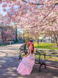 🌸  Brooklyn Botanic Garden 🇺🇸 