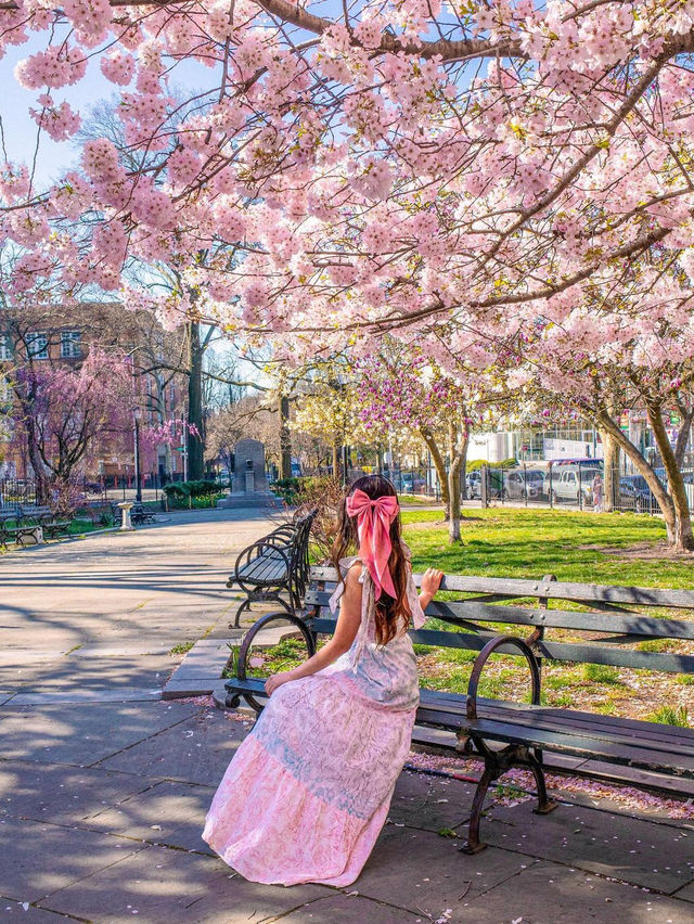 🌸  Brooklyn Botanic Garden 🇺🇸 