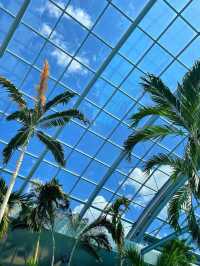Therme Bucharest water park 🗺️