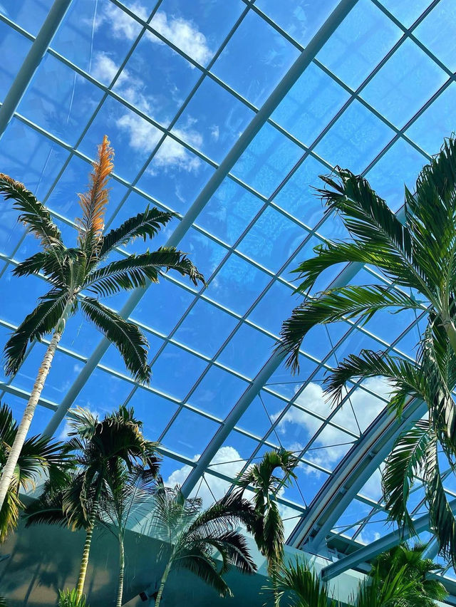 Therme Bucharest water park 🗺️