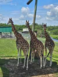 Palm Beach Zoo 🇺🇸