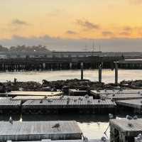 Is Fisherman’s Wharf worth the hype? 💯 Absolutely!  