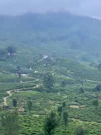 Chinnar Wildlife Sanctuary 