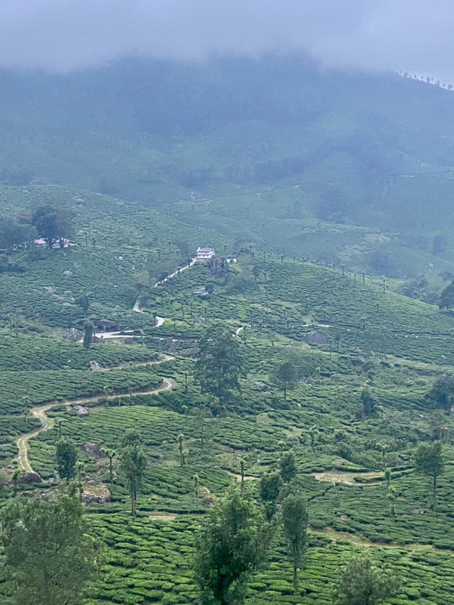 Chinnar Wildlife Sanctuary 