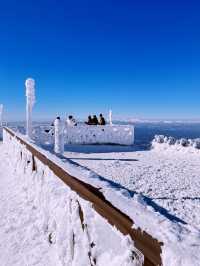 Tokyo to Yamagata Zao Onsen: The Perfect Getaway for Skiers & Non-Skiers Alike ❄️🏔️♨️