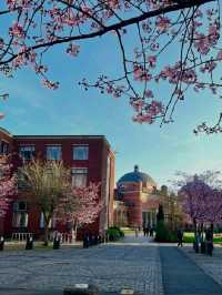 🌸 Birmingham in Bloom: The City Bursting with Colour This Spring 🌼🌆