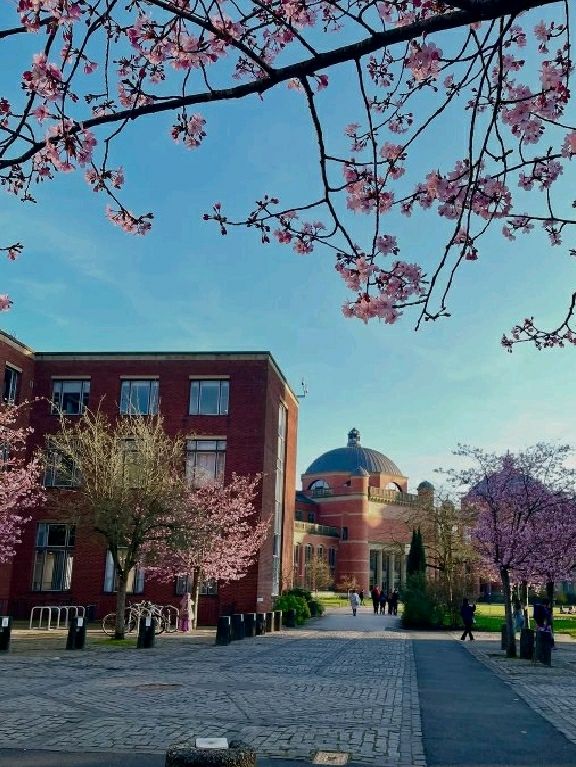 🌸 Birmingham in Bloom: The City Bursting with Colour This Spring 🌼🌆
