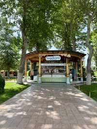 Springtime Bliss at Registan Park, Samarkand