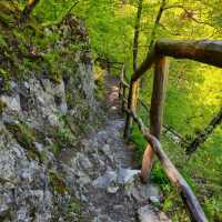 Absolutely loved the ecopath 