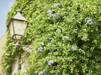 Step back in time in the village of Valldemossa in Mallorca…