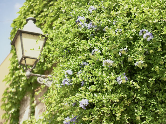 Step back in time in the village of Valldemossa in Mallorca…