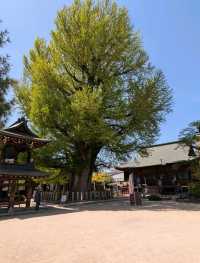 1 day in Takayama