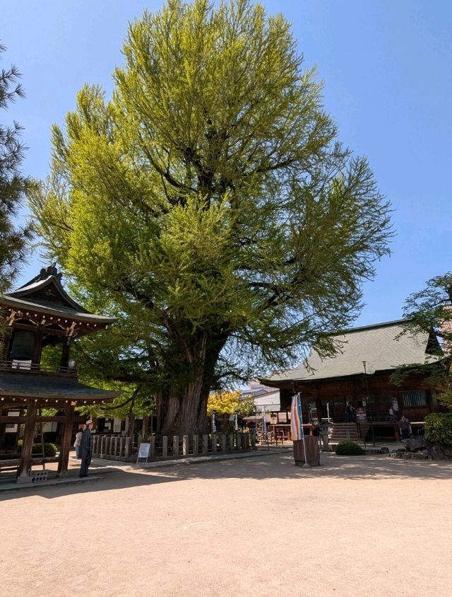 1 day in Takayama
