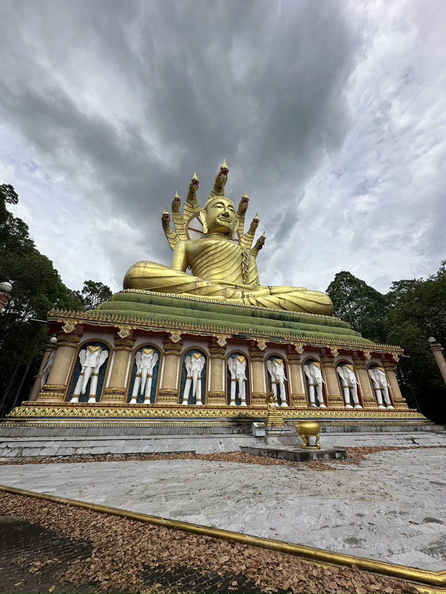 Temple lost in a jungle 
