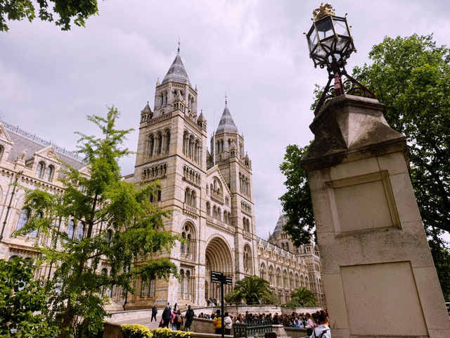 🦕🏛️ Free Museum Day Out at London’s Natural History Museum