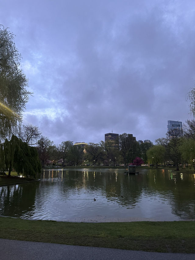 GLOOMY BOSTON DONE RIGHT ☁️