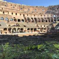 Roma🇮🇹Timeless Power of the Colosseum: Rome’s Iconic Wonder🏛️