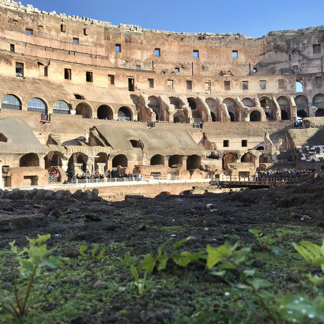 Roma🇮🇹Timeless Power of the Colosseum: Rome’s Iconic Wonder🏛️